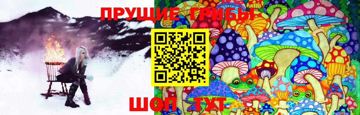 Псилоцибиновые грибы мицелий Советская Гавань