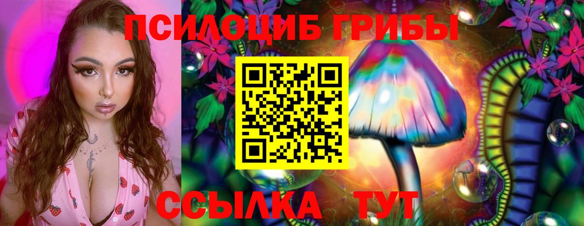 где продают   Псилоцибиновые грибы мухоморы  Псилоцибиновые грибы мицелий  Вход с VPN  Советская Гавань 